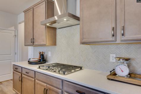 806 Oak Valley Drive Blythewood SC 29016