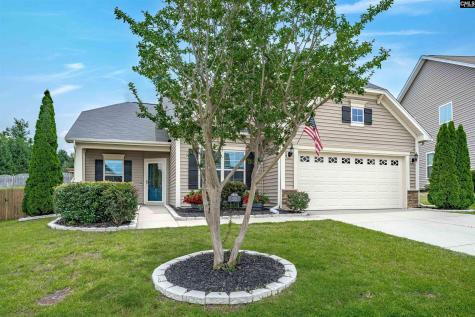 520 Ariel Circle Lexington SC 29072