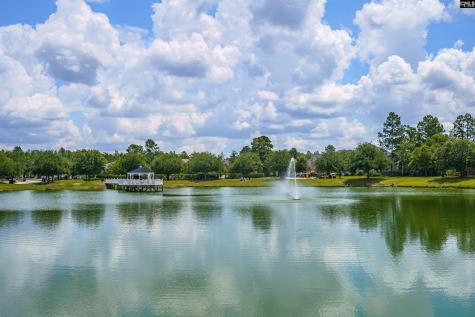 520 Ariel Circle Lexington SC 29072