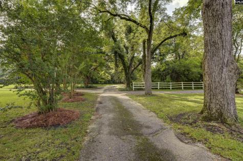 129 Shady Branch Lane Monetta SC 29105