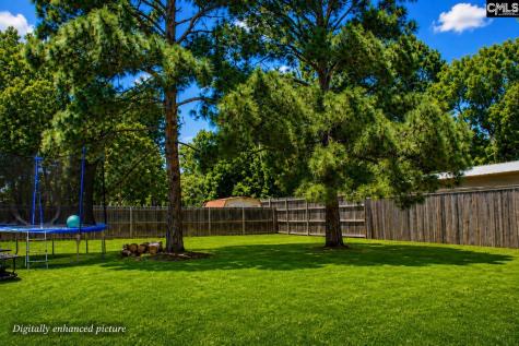307 Green Rose Road Columbia SC 29223