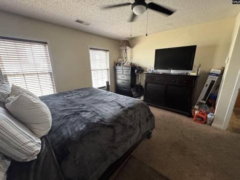 231 Gayle Pond Trace Columbia SC 29209