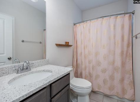 216 White Torpedo Way Lexington SC 29072