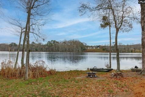 216 White Torpedo Way Lexington SC 29072