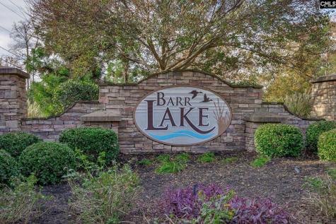 216 White Torpedo Way Lexington SC 29072