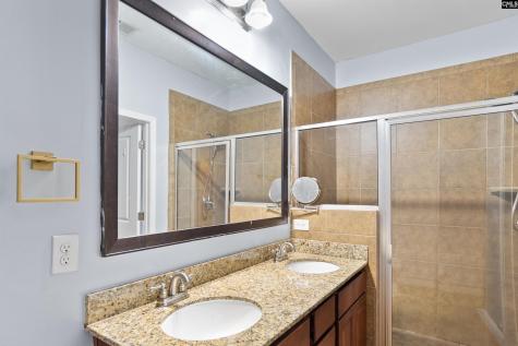 255 Sorrel Tree Drive Columbia SC 29223