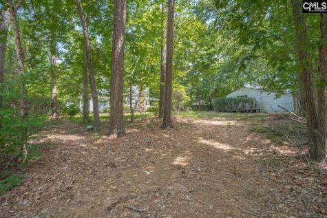 221 Baron Road Lexington SC 29072-8274