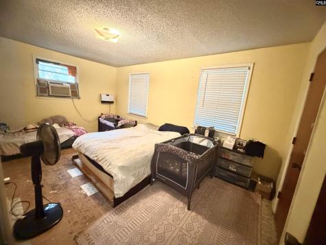 123 Mack Edisto Road Swansea SC 29160