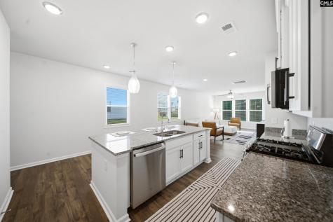 548 Bee Balm Drive Blythewood SC 29016