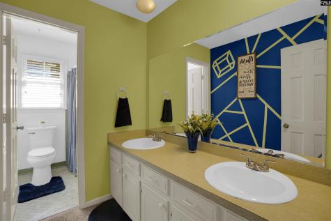 119 Bosworth Field Court Columbia SC 29212