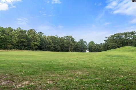 521 Patterdale Lane Blythewood SC 29016