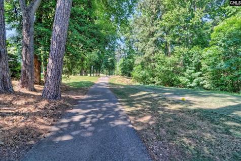 153 Heather Glen Drive Lexington SC 29072