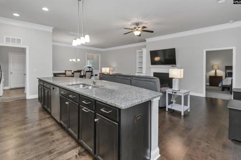 688 Scarlett Baby Drive Blythewood SC 29016