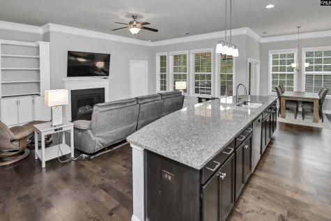 688 Scarlett Baby Drive Blythewood SC 29016