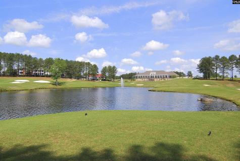688 Scarlett Baby Drive Blythewood SC 29016