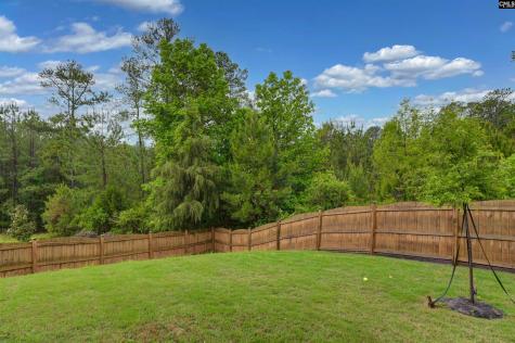 688 Scarlett Baby Drive Blythewood SC 29016