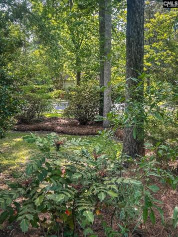 133 Tarrar Springs Road Lexington SC 29072