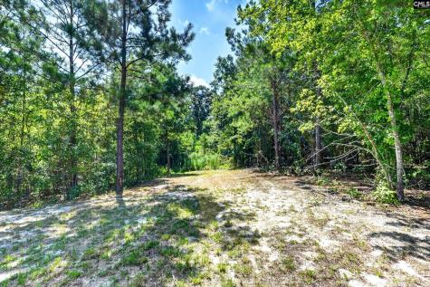 2215 Porter Road Cassatt SC 29032