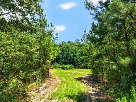 2215 Porter Road Cassatt SC 29032
