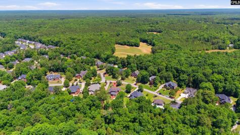 200 Cedar View Drive Irmo SC 29063
