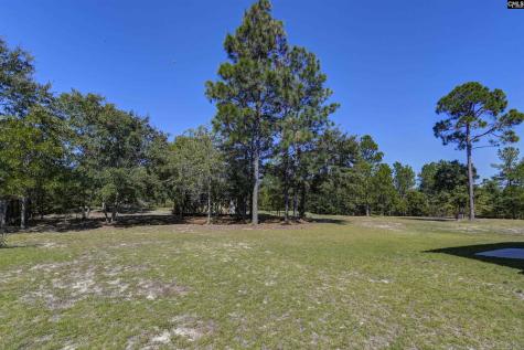 226 Crassula Drive Lexington SC 29073