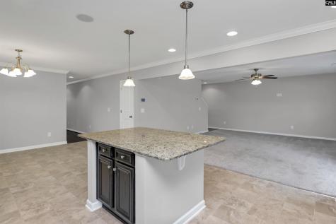 226 Crassula Drive Lexington SC 29073