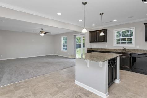 226 Crassula Drive Lexington SC 29073
