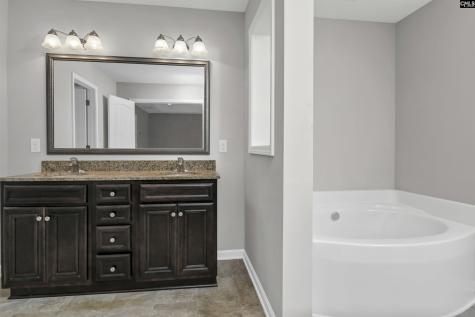 226 Crassula Drive Lexington SC 29073