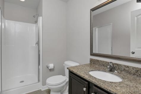226 Crassula Drive Lexington SC 29073
