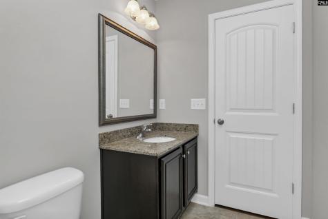 226 Crassula Drive Lexington SC 29073
