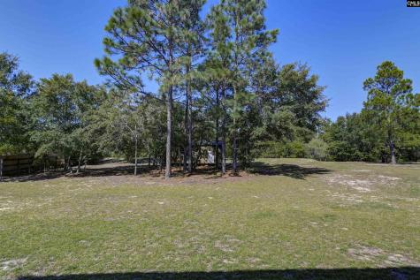 226 Crassula Drive Lexington SC 29073