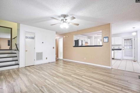 234 Dutch Drive Irmo SC 29063