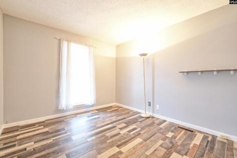 234 Dutch Drive Irmo SC 29063