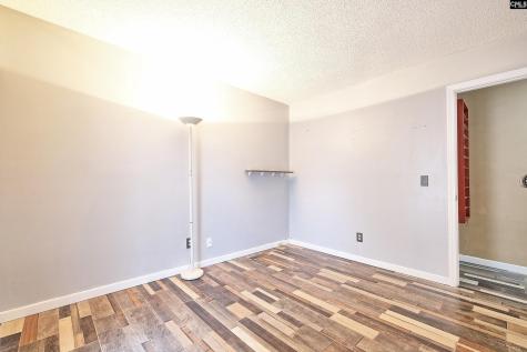 234 Dutch Drive Irmo SC 29063