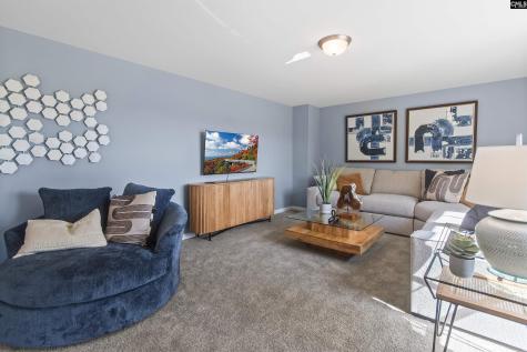 724 Feldspar Court Chapin SC 29036