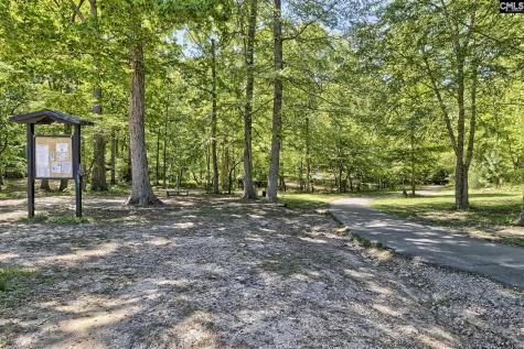 724 Feldspar Court Chapin SC 29036