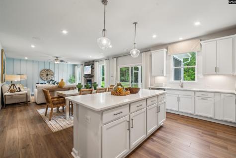 724 Feldspar Court Chapin SC 29036