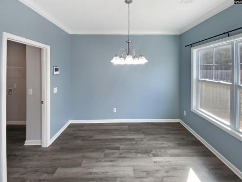 111 Wahoo Circle Irmo SC 29063