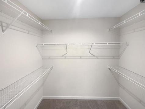 111 Wahoo Circle Irmo SC 29063
