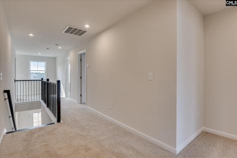 20 Spider Web Court Blythewood SC 29016