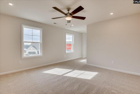 20 Spider Web Court Blythewood SC 29016