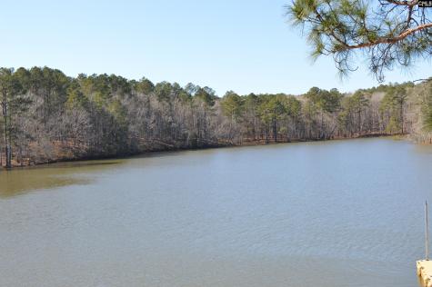 2242 Singleton Creek Road Liberty Hill SC 29074-0000