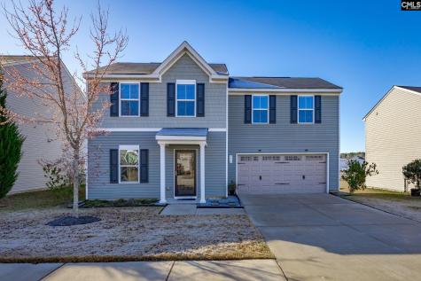 173 Council Loop Columbia SC 29209