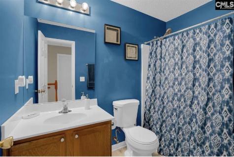 203 Hope Creek Drive Irmo SC 29063