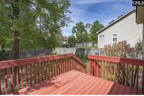 203 Hope Creek Drive Irmo SC 29063