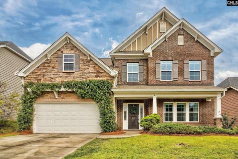 1127 Portrait Hill Drive Chapin SC 29036
