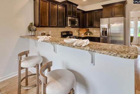 1127 Portrait Hill Drive Chapin SC 29036
