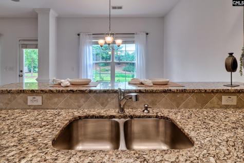 1127 Portrait Hill Drive Chapin SC 29036