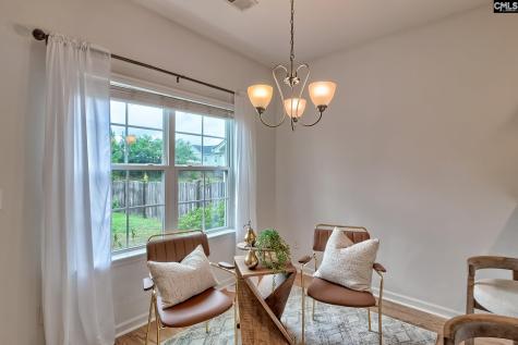 1127 Portrait Hill Drive Chapin SC 29036