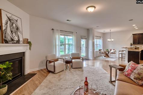 1127 Portrait Hill Drive Chapin SC 29036